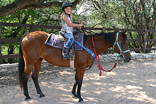 Riding arenas